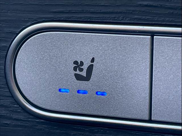 メルセデス・ベンツ GLE-CLASSの画像9