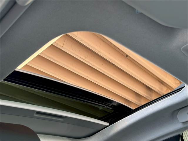 C4Edition noire BlueHDi 内装他