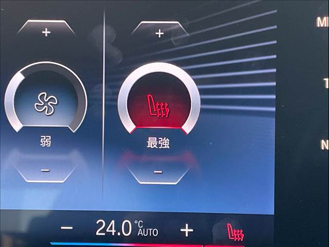 BMW&nbsp;X1の画像8