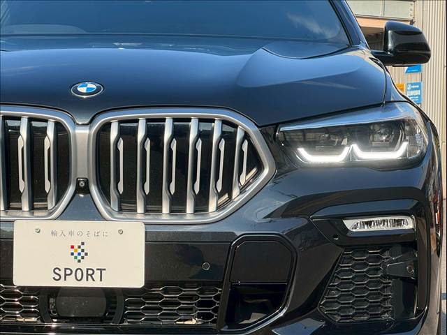 BMW X6の画像20