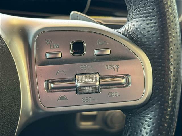 メルセデス・ベンツ GLE-CLASSの画像10