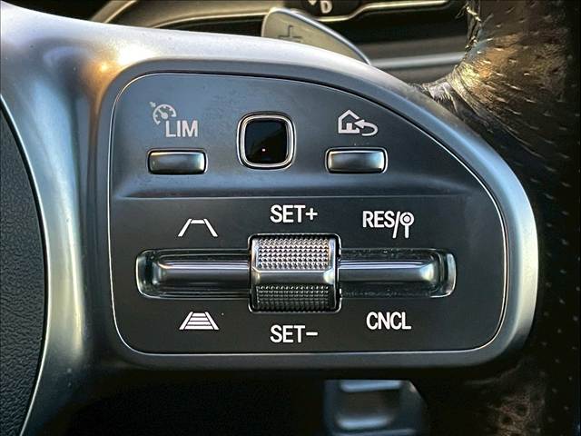 メルセデス・ベンツ GLE-CLASSの画像10