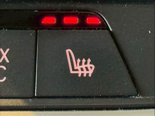 BMW&nbsp;X5の画像10