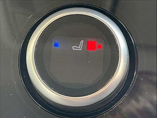 ランドローバー&nbsp;RANGE ROVER EVOQUEの画像9