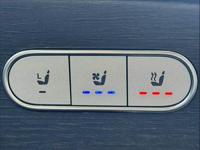 メルセデス・ベンツ&nbsp;GLE-CLASS Coupeの画像10