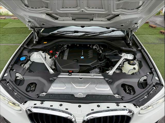BMW X4の画像12