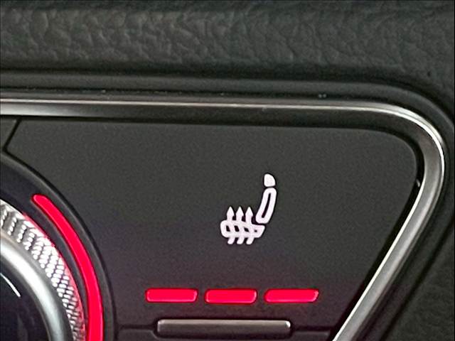 アウディ&nbsp;Q5の画像9