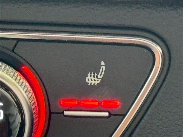 アウディ&nbsp;Q5の画像9