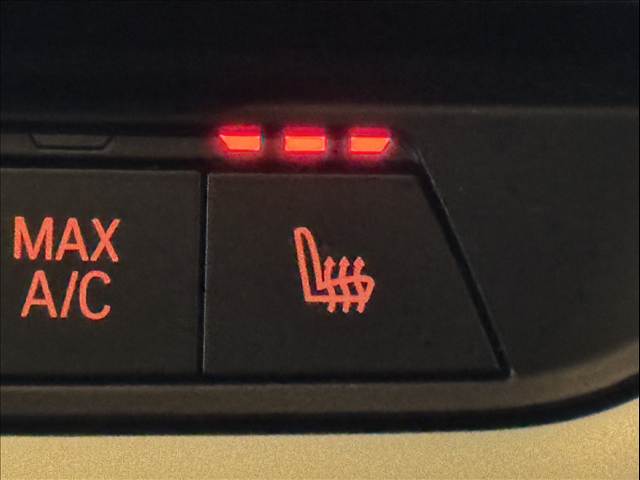 BMW X3の画像10