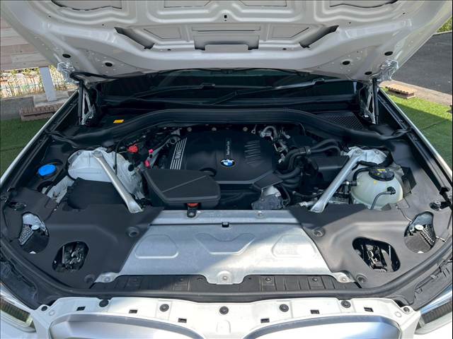 BMW X4の画像12
