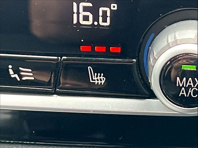 BMW X4の画像8