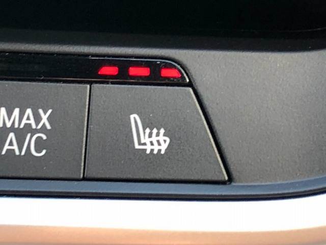 BMW&nbsp;X5の画像10