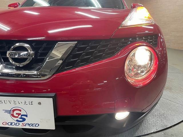 日産 ジュークの画像11