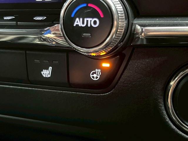 マツダ MAZDA3 FASTBACKの画像14