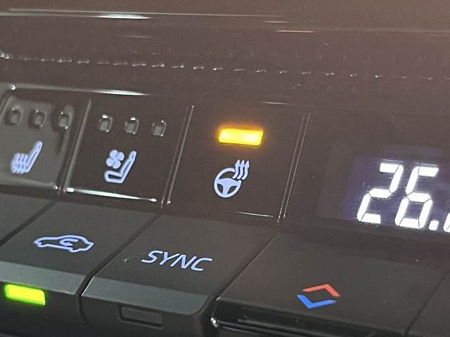 トヨタ ランドクルーザー250の画像14