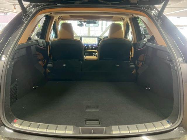 レクサス NXの画像20