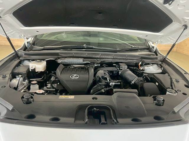 レクサス RXの画像13