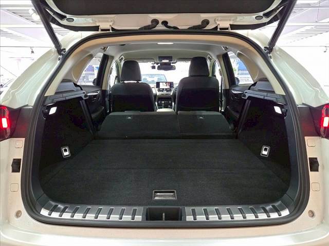 レクサス NXの画像20