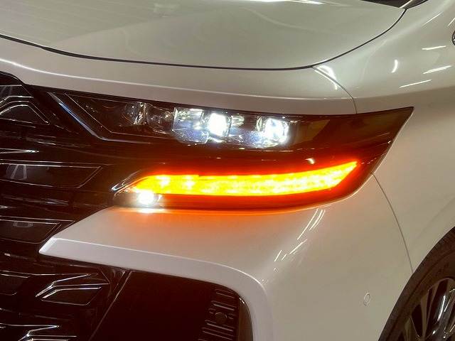 トヨタ ヴェルファイアハイブリッドの画像11