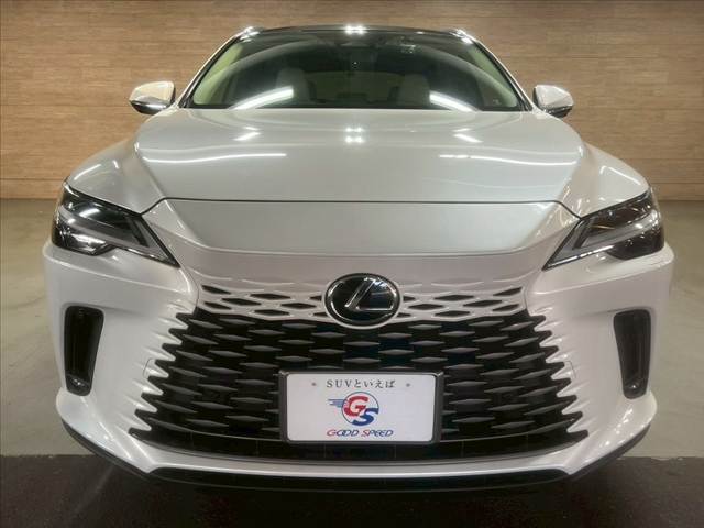 レクサス RXの画像17