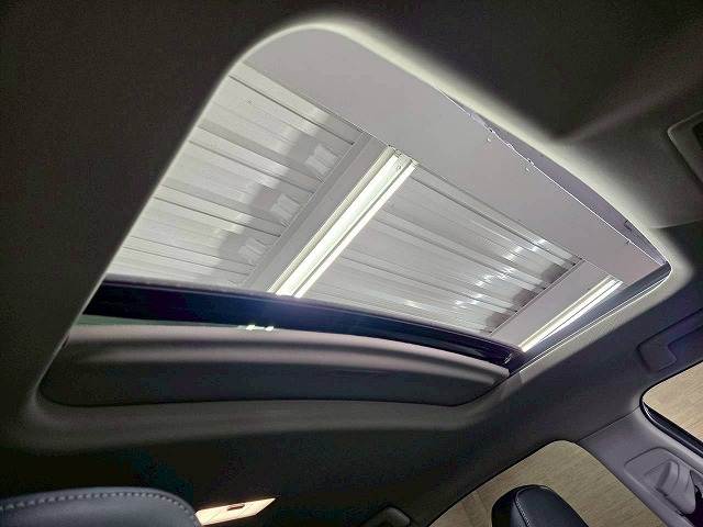 NXNX300h “version L” 内装他