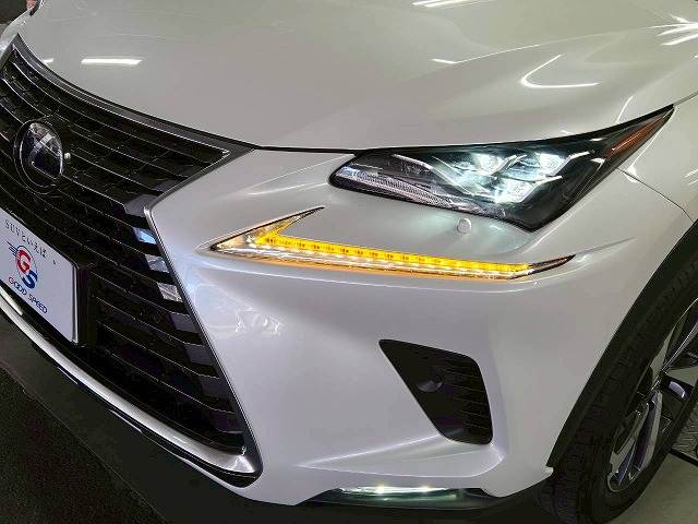 レクサス NXの画像11