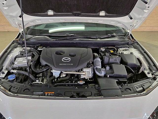 マツダ&nbsp;MAZDA3 FASTBACKの画像13