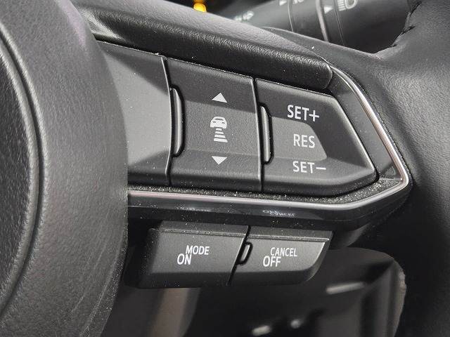 CX-3XD Super Edgy 内装他