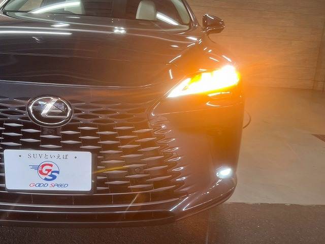 レクサス RXの画像11
