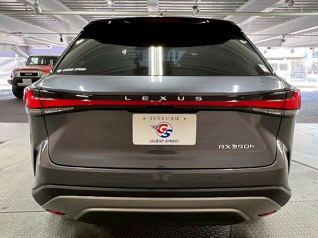 レクサス RXの画像19