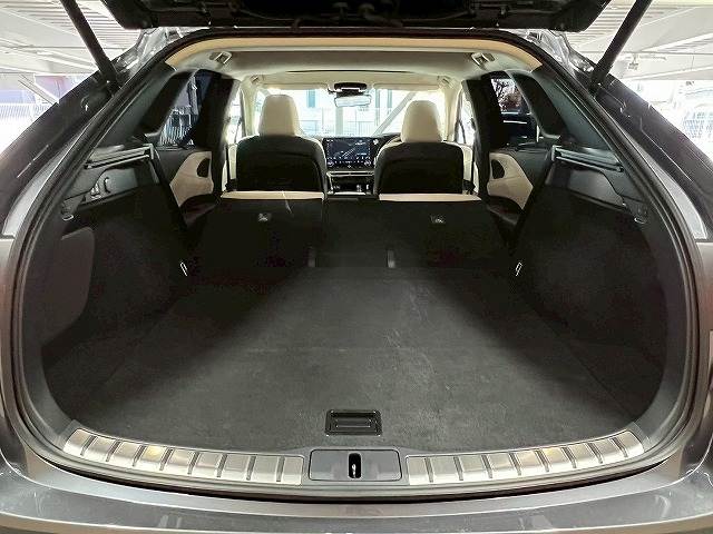 レクサス RXの画像20