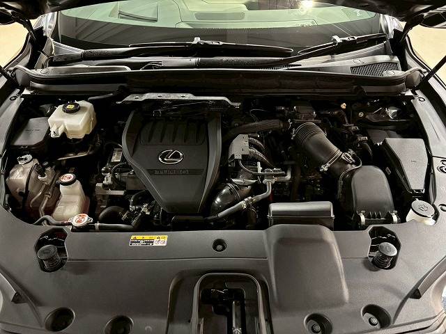 レクサス&nbsp;RXの画像13