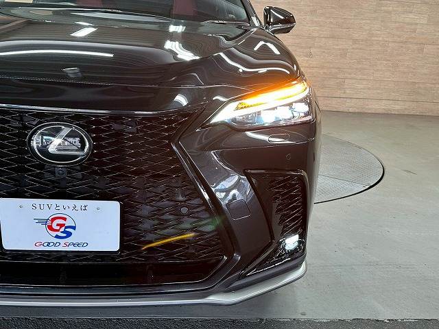 レクサス&nbsp;NXの画像11