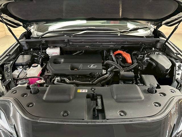 レクサス&nbsp;NXの画像13