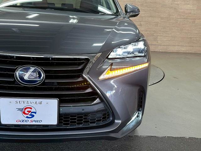 レクサス&nbsp;NXの画像11