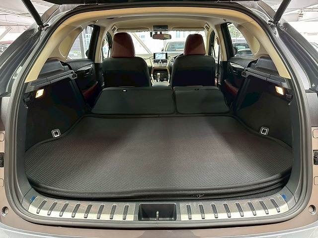 レクサス&nbsp;NXの画像20