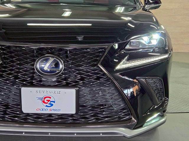 レクサス&nbsp;NXの画像11