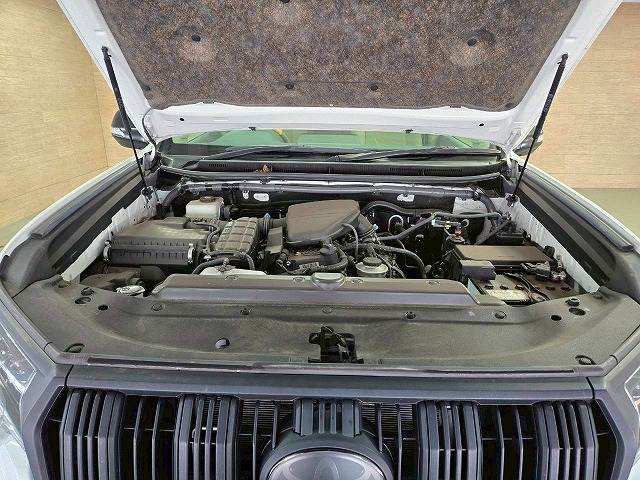 トヨタ&nbsp;ランドクルーザープラドの画像14