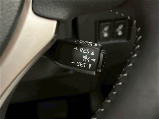 NXNX300h “version L” 内装他