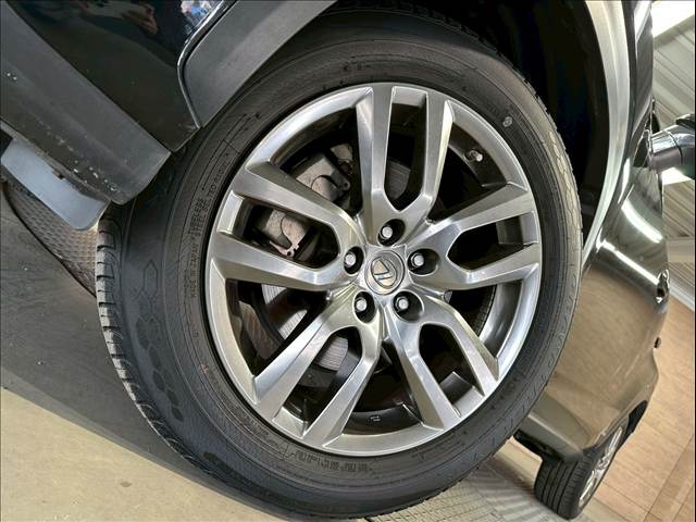 レクサス&nbsp;NXの画像12