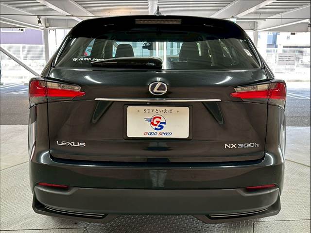 レクサス&nbsp;NXの画像19