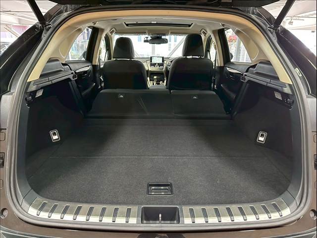 レクサス&nbsp;NXの画像20