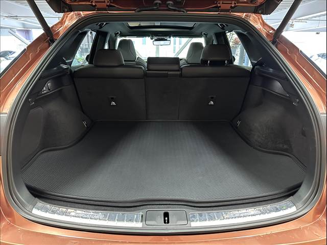 レクサス&nbsp;RXの画像20