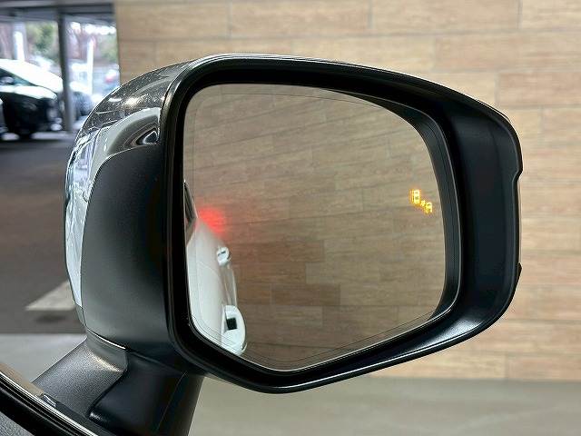 トヨタ&nbsp;ランドクルーザー300系の画像14