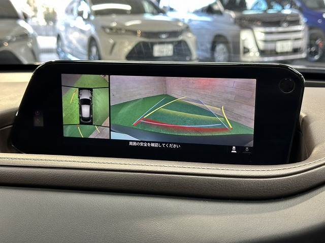 CX-3020S L Package 内装他