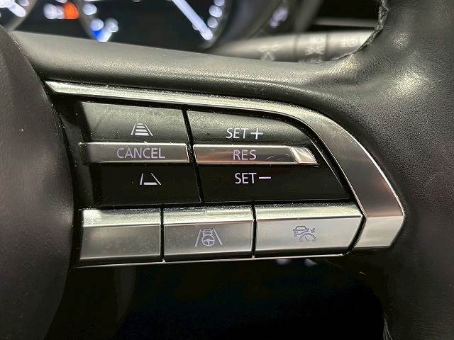 CX-3020S L Package 内装他