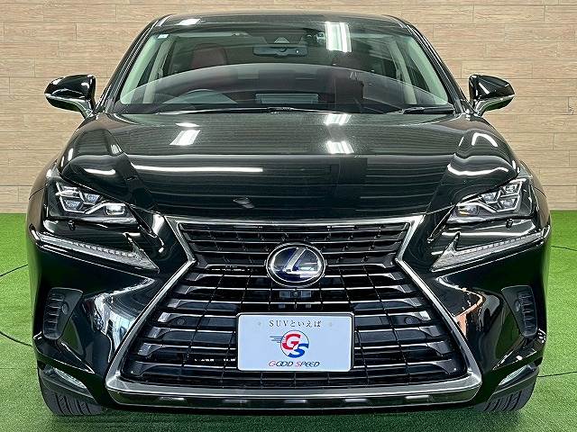 レクサス&nbsp;NXの画像17