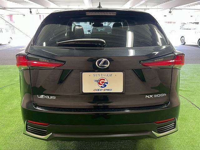 レクサス&nbsp;NXの画像19