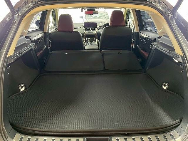 レクサス&nbsp;NXの画像20