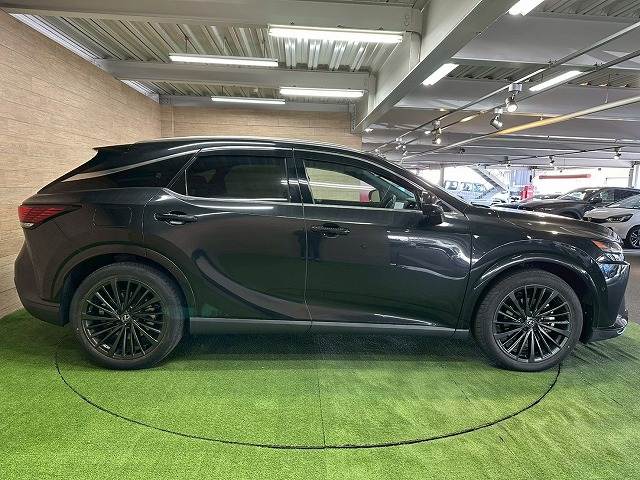 レクサス&nbsp;RXの画像18